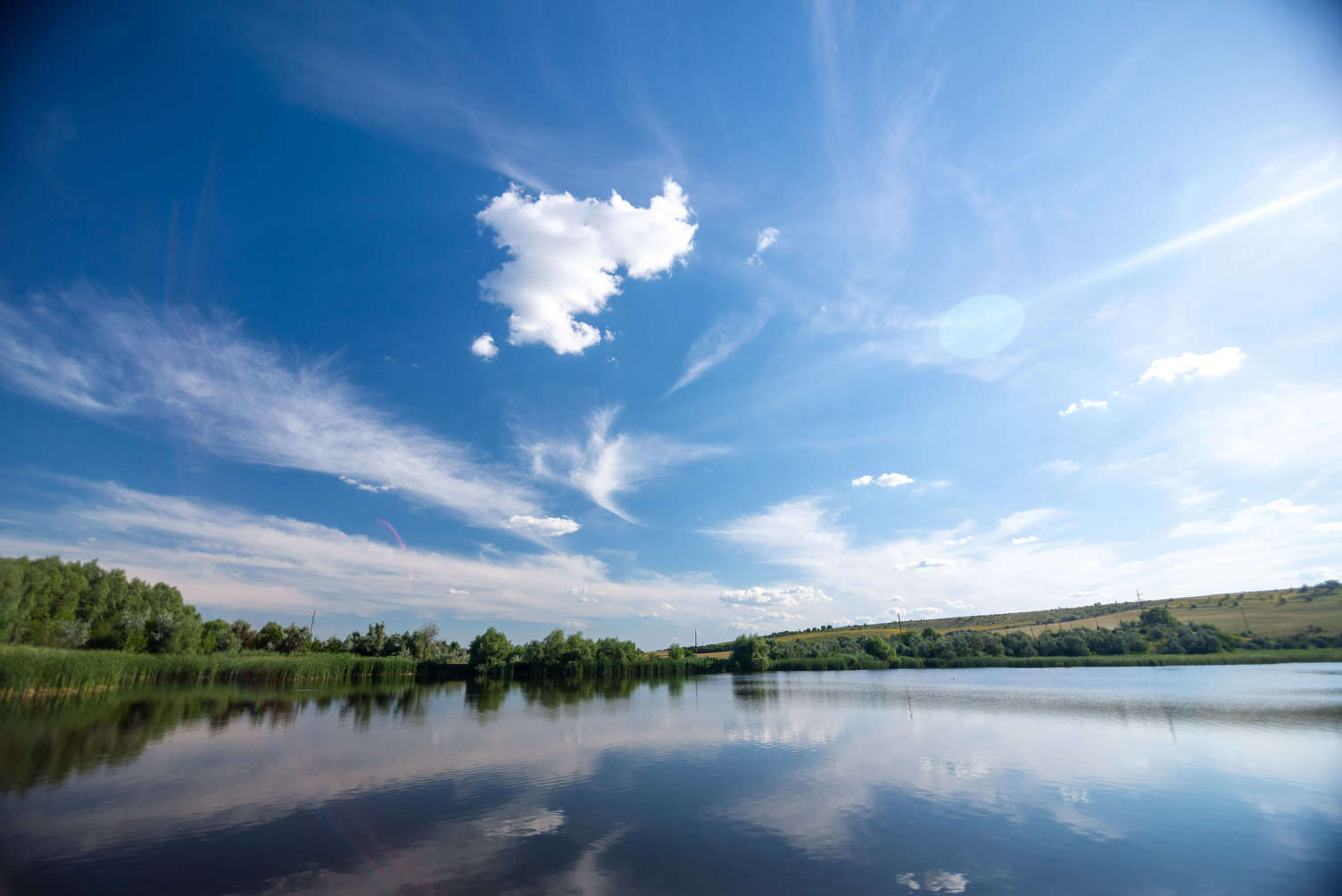 _ARS99990075lr-save+