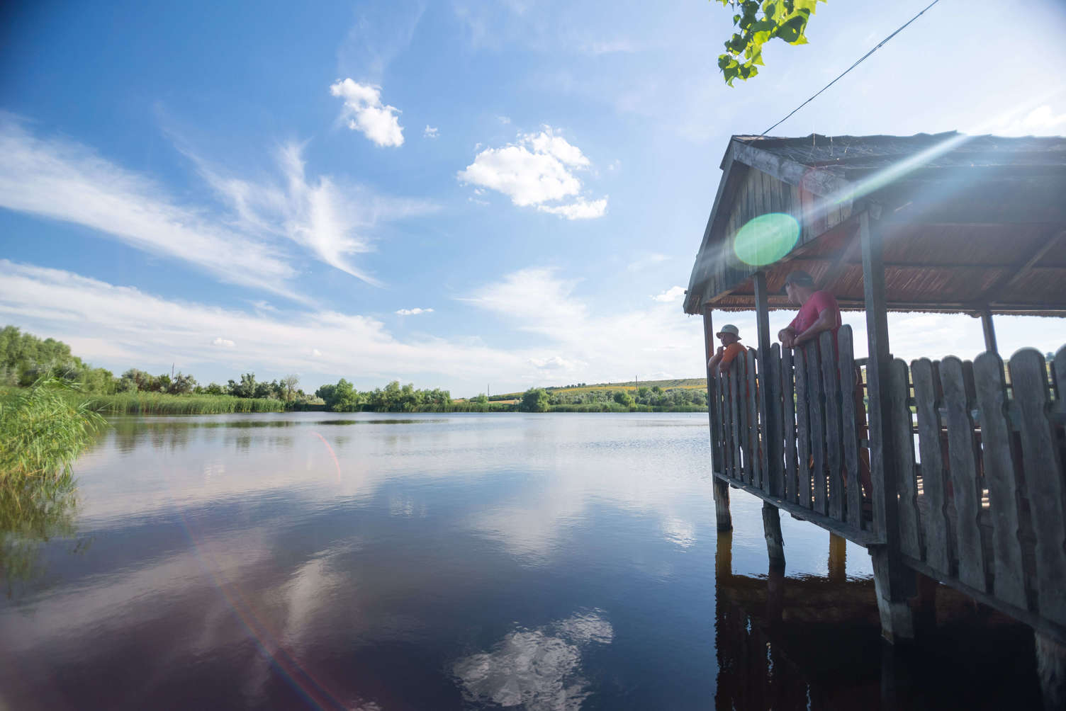 _ARS99990085lr-save+